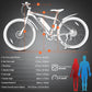 Vortex Electric Bike