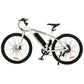 Vortex Electric Bike