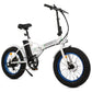 Fat Tire Folding Electric Bike 36V
