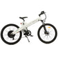 Seagull Electric Bike