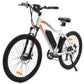 Leopard Electric Bike