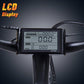 Leopard Electric Bike