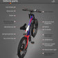 Big Front Fork S17 Electric Bike